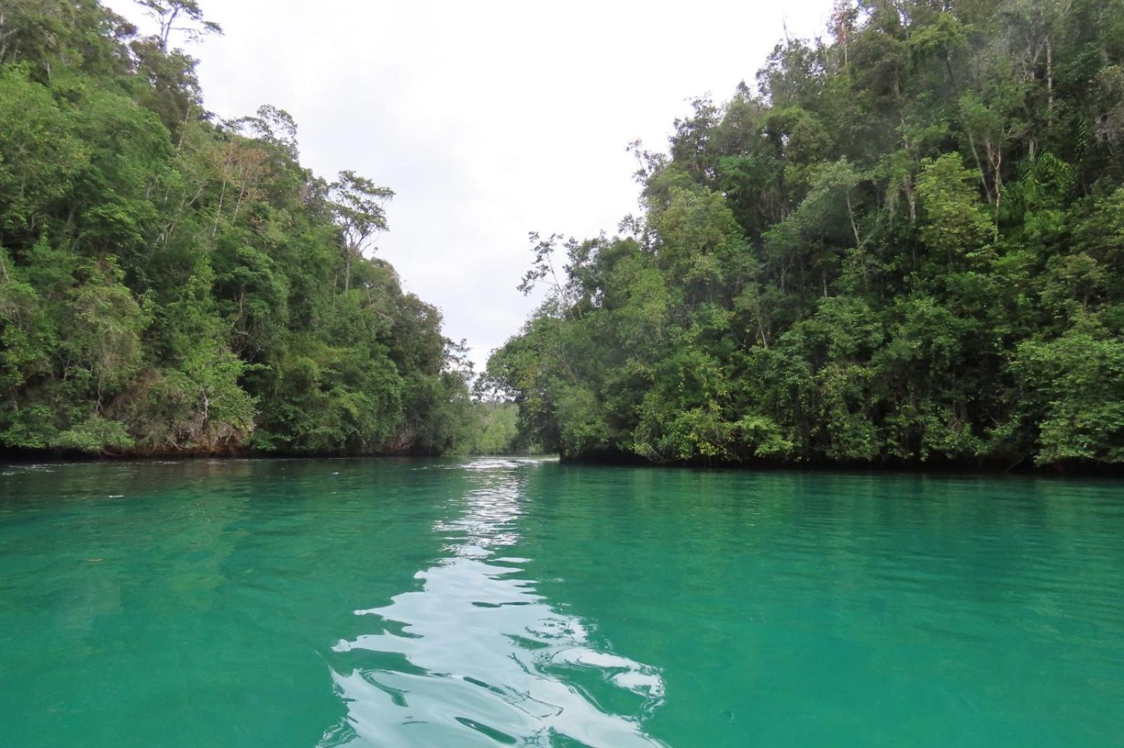 Nyanse Homestay - Raja Ampat Besir Екстериор снимка