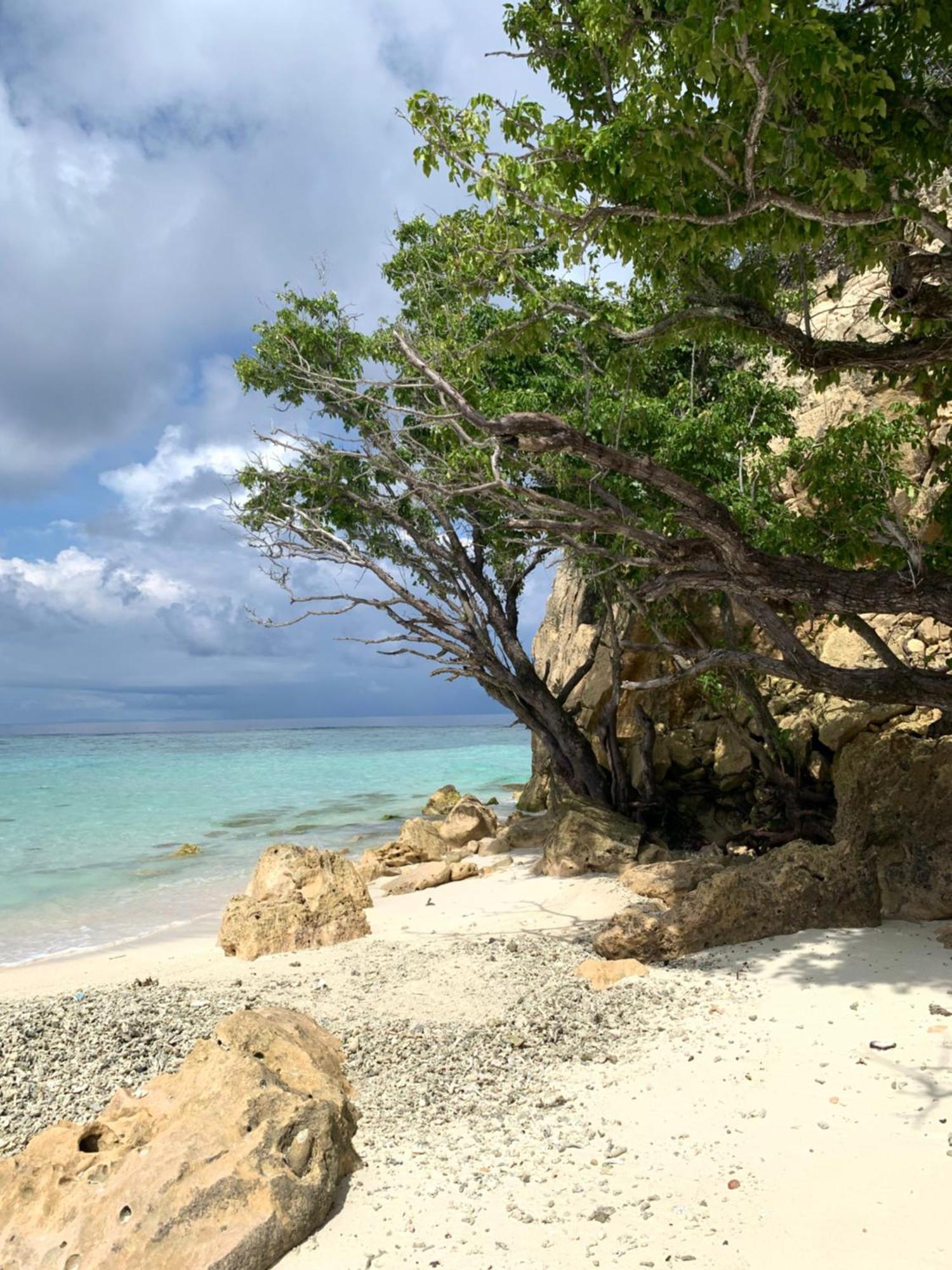 Nyanse Homestay - Raja Ampat Besir Екстериор снимка