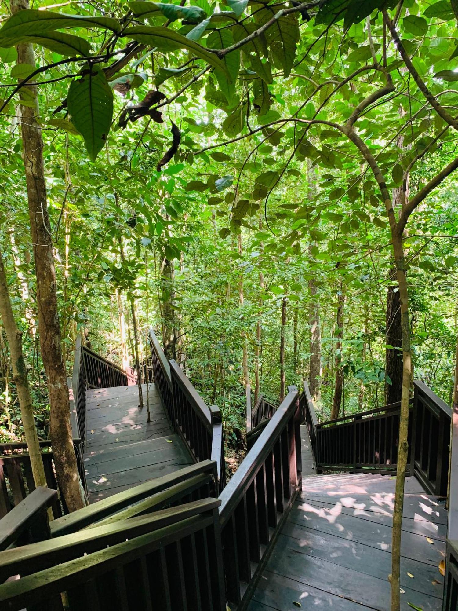 Nyanse Homestay - Raja Ampat Besir Екстериор снимка