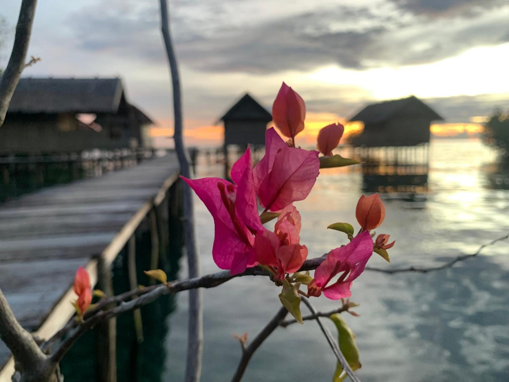 Nyanse Homestay - Raja Ampat Besir Екстериор снимка